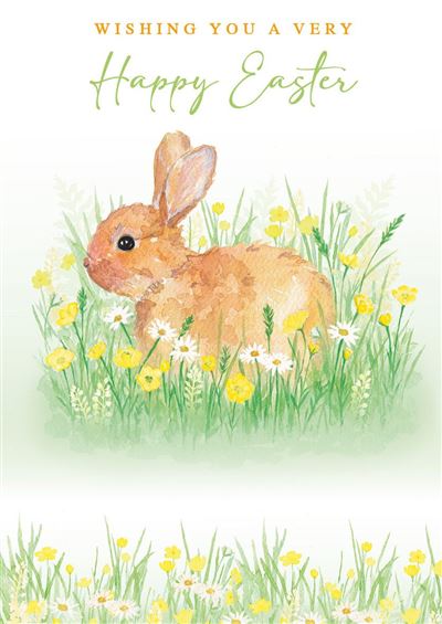 Bunny Pack Of 5 Easter Cards – Kingfisher Cards & Gifts