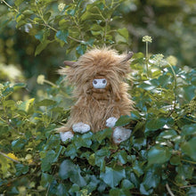 Load image into Gallery viewer, Gordon Junior the Highland Cow Soft Toy