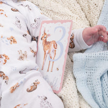 Load image into Gallery viewer, Baby Animal Milestone Cards by Wrendale Designs