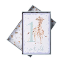 Load image into Gallery viewer, Baby Animal Milestone Cards by Wrendale Designs