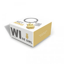 Load image into Gallery viewer, Owl and Book Lover Keyring