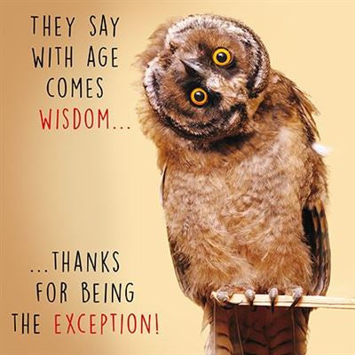 Owl Humour Birthday Card
