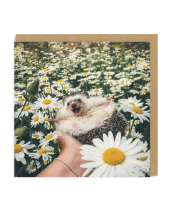 Hedgehog In A Daisy Field Blank Card