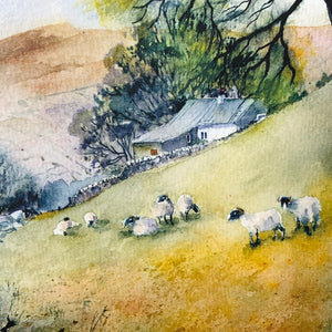 Sheep on a Hill Blank Card