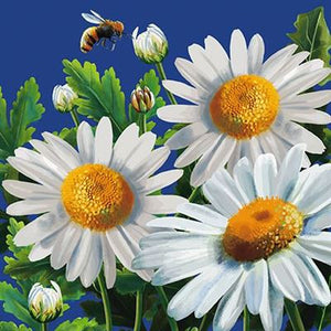 Daisy Card