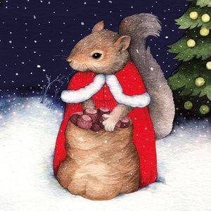 Santa Squirrel Pack Of 8 Christmas Cards