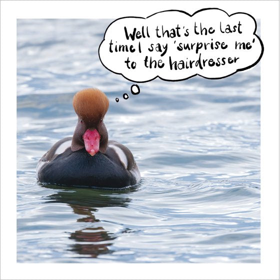 Duck Surprise Me RSPB Blank Card