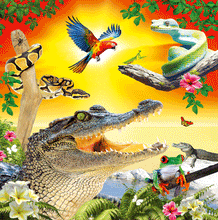 Load image into Gallery viewer, Jungle Wildlife , Crocodile, Parrot , Snake, Tree Frog Blank Lenticular 3D Card
