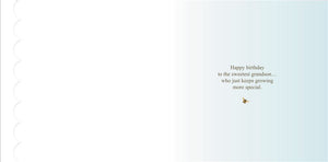 Beatrix Potter-Peter Rabbit Grandson Birthday Card