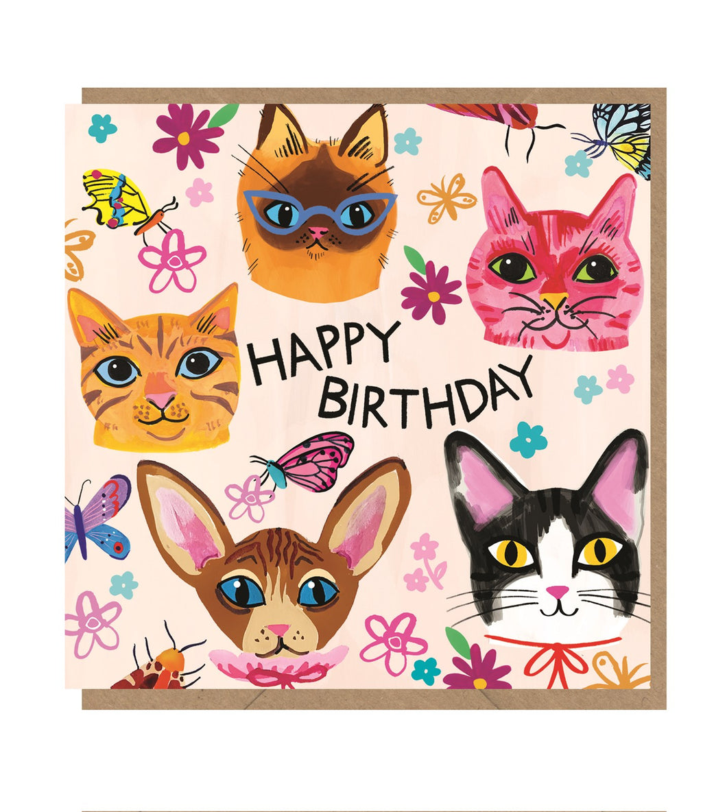 Cats  Birthday Card