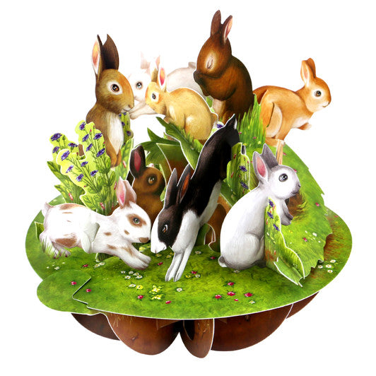 Rabbit 3D Card