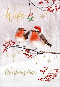 Robins Wife  Christmas Card