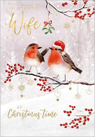 Robins Wife  Christmas Card