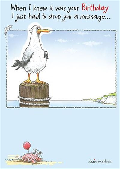 Funny Seagull Birthday Card