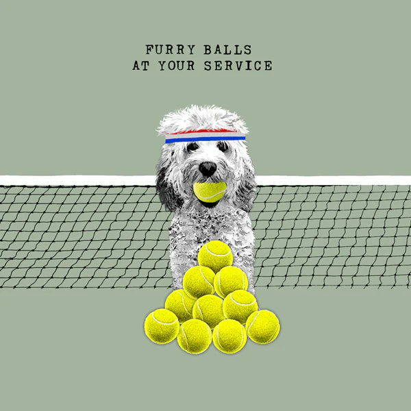 Cockapoo Furry Balls Blank Card