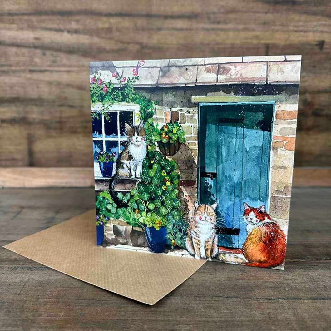 Cats Outside Cottage Blank Card