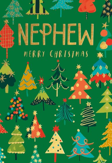 Nephew Christmas Card