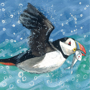 Puffin Blank Card