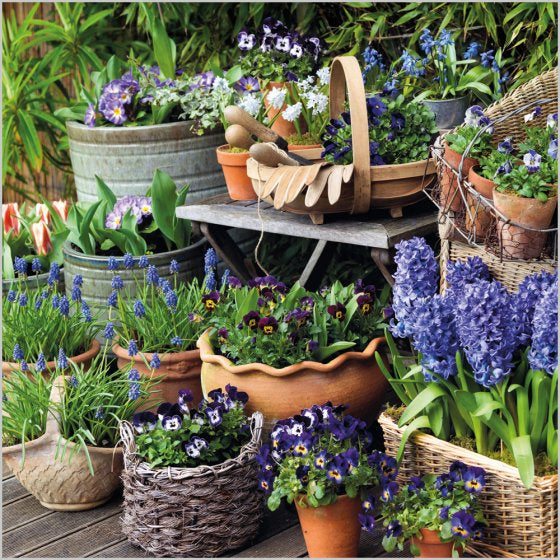 Spring Container Garden Blank Card Inspired by BBC Gardners’ World