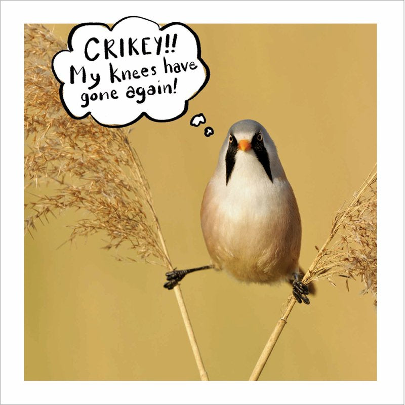 RSPB Creaky Knee Bird Humour Blank Card