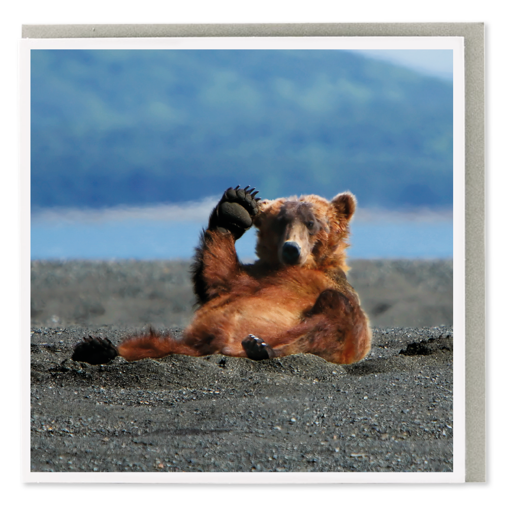 Waving Bear Blank Card