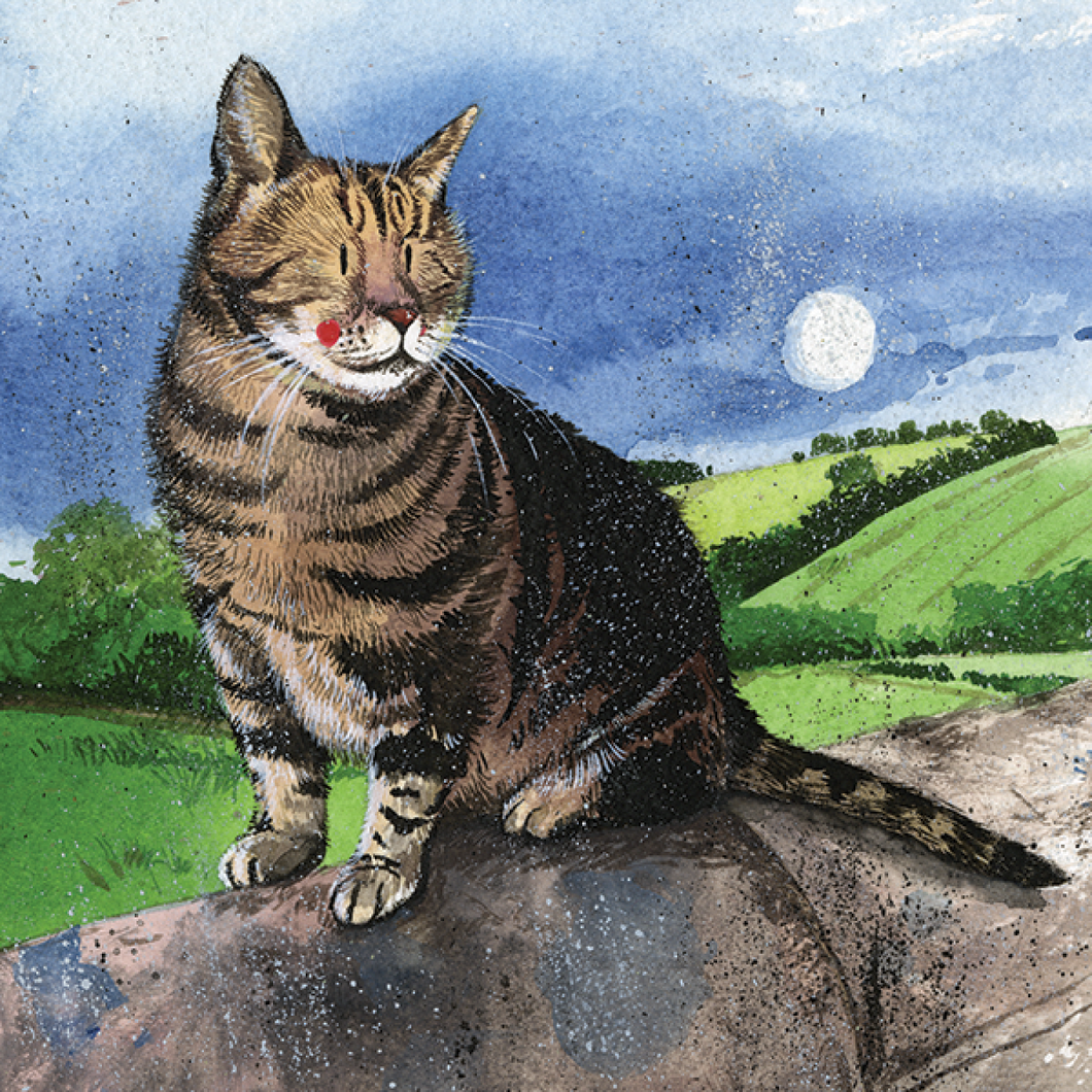Cat Blank Card