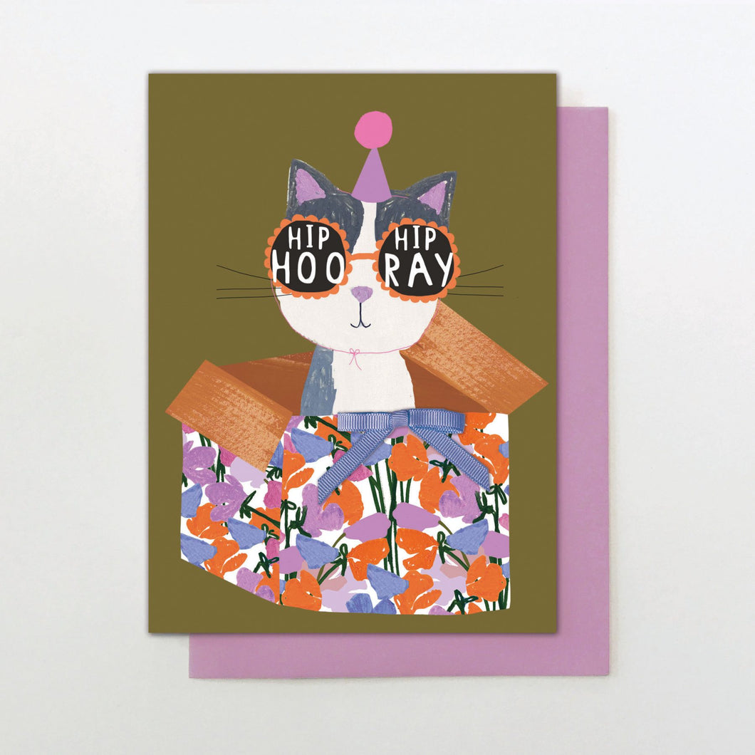 Cat Congratulations Card