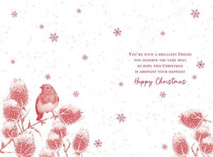 Robin On Milk Thistle Special Friend Christmas Card