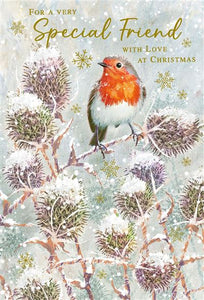 Robin On Milk Thistle Special Friend Christmas Card