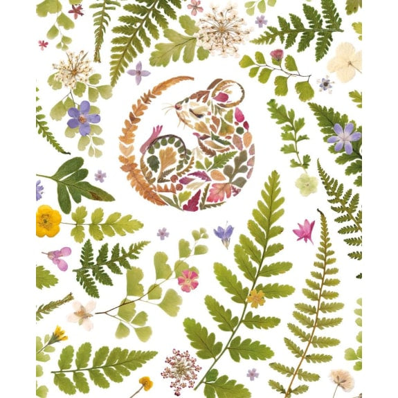 Cosy Mouse Blank Card By Wild Press