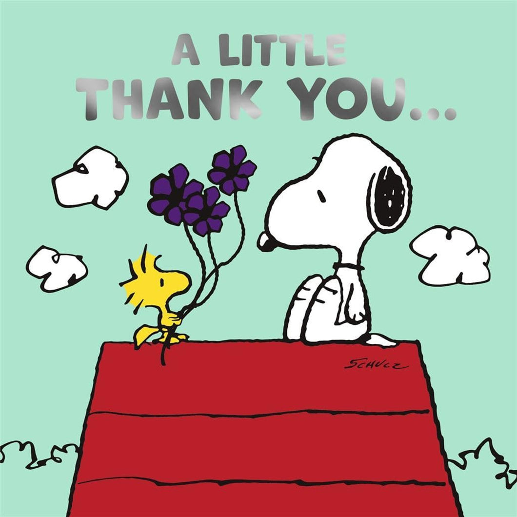 A Little Thank You Peanuts Card
