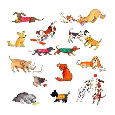 Dogs Playing Blank Card