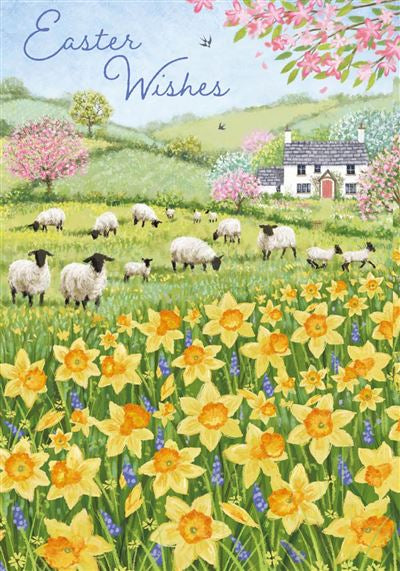 Daffodils & Sheep Pack Of 5 Easter Cards