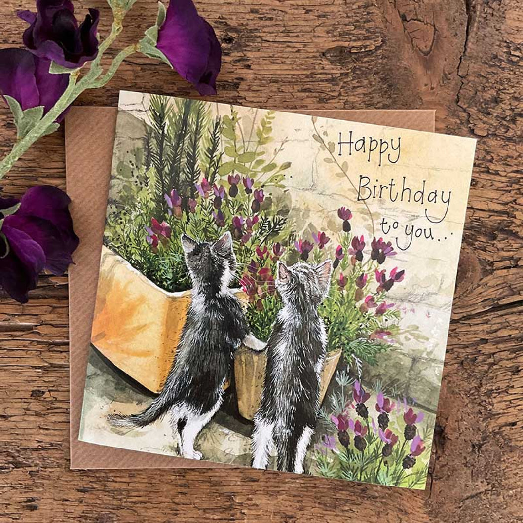 Cat Birthday Card
