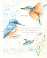 Load image into Gallery viewer, Kingfisher Speedy Recovery Card
