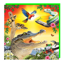 Load image into Gallery viewer, Jungle Wildlife , Crocodile, Parrot , Snake, Tree Frog Blank Lenticular 3D Card

