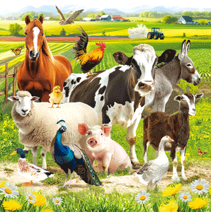 Farmyard Animals Blank Lenticular 3D Card