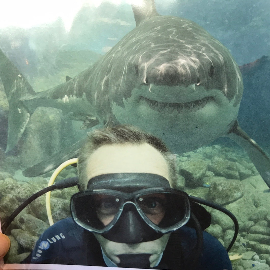 Shark with Diver Blank Card