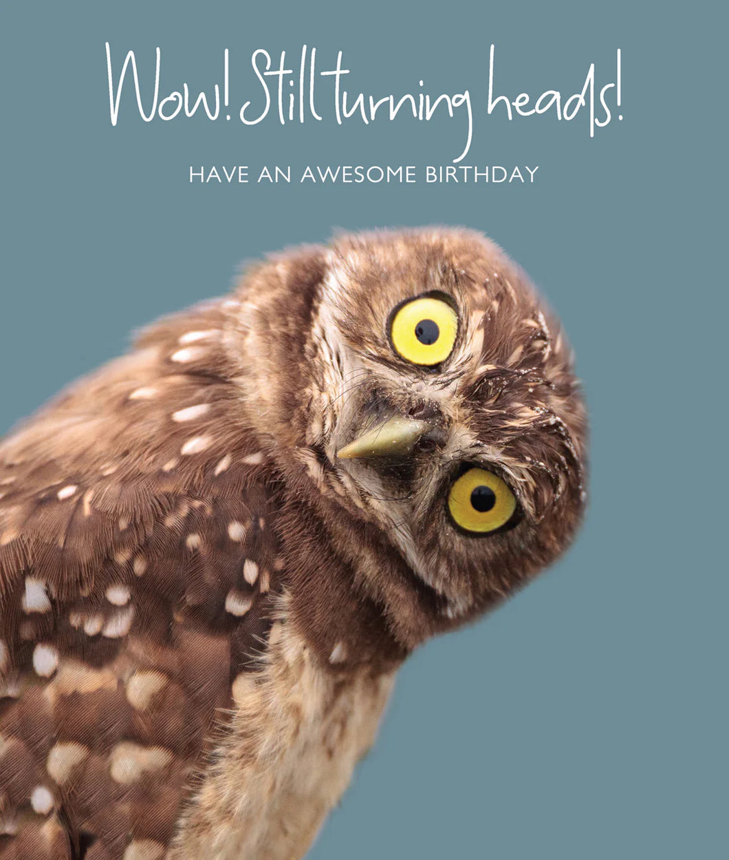 Wow Still Turning Heads Owl Birthday Card