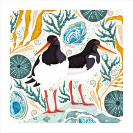 Oystercatchers Blank Card