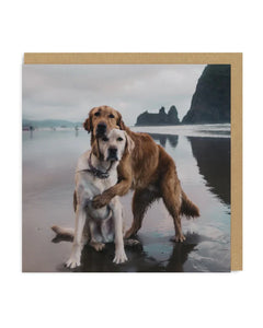 Retriever & Labrador Hugging Blank Card