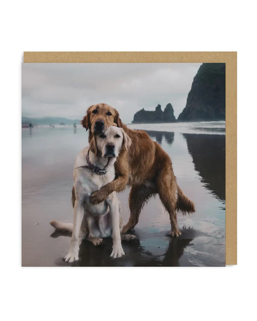 Retriever & Labrador Hugging Blank Card