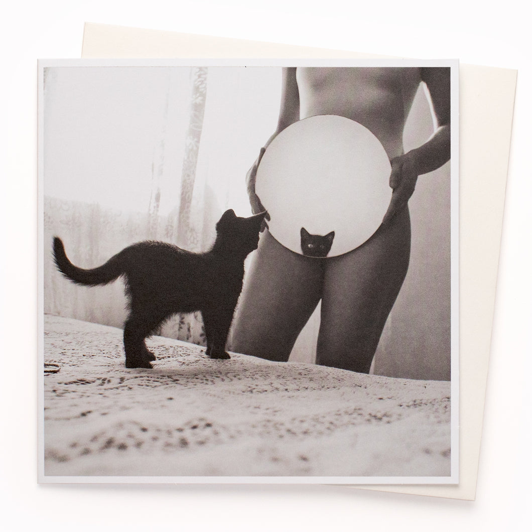 Kitten Blank Card