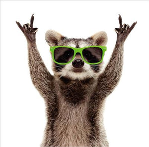 Raccoon In Sunglasses Blank Card