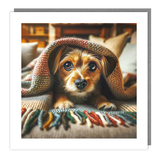 Small Dog Under A Blanket Blank Card