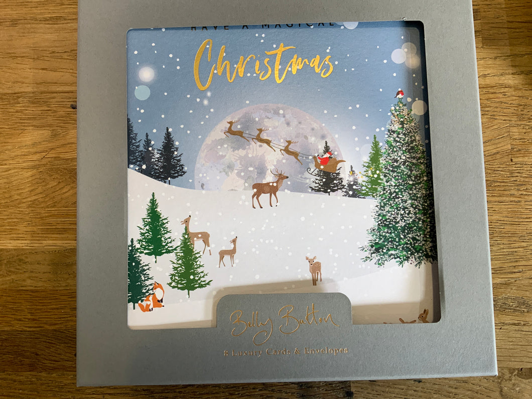 Pack of 8 Luxury Christmas Card