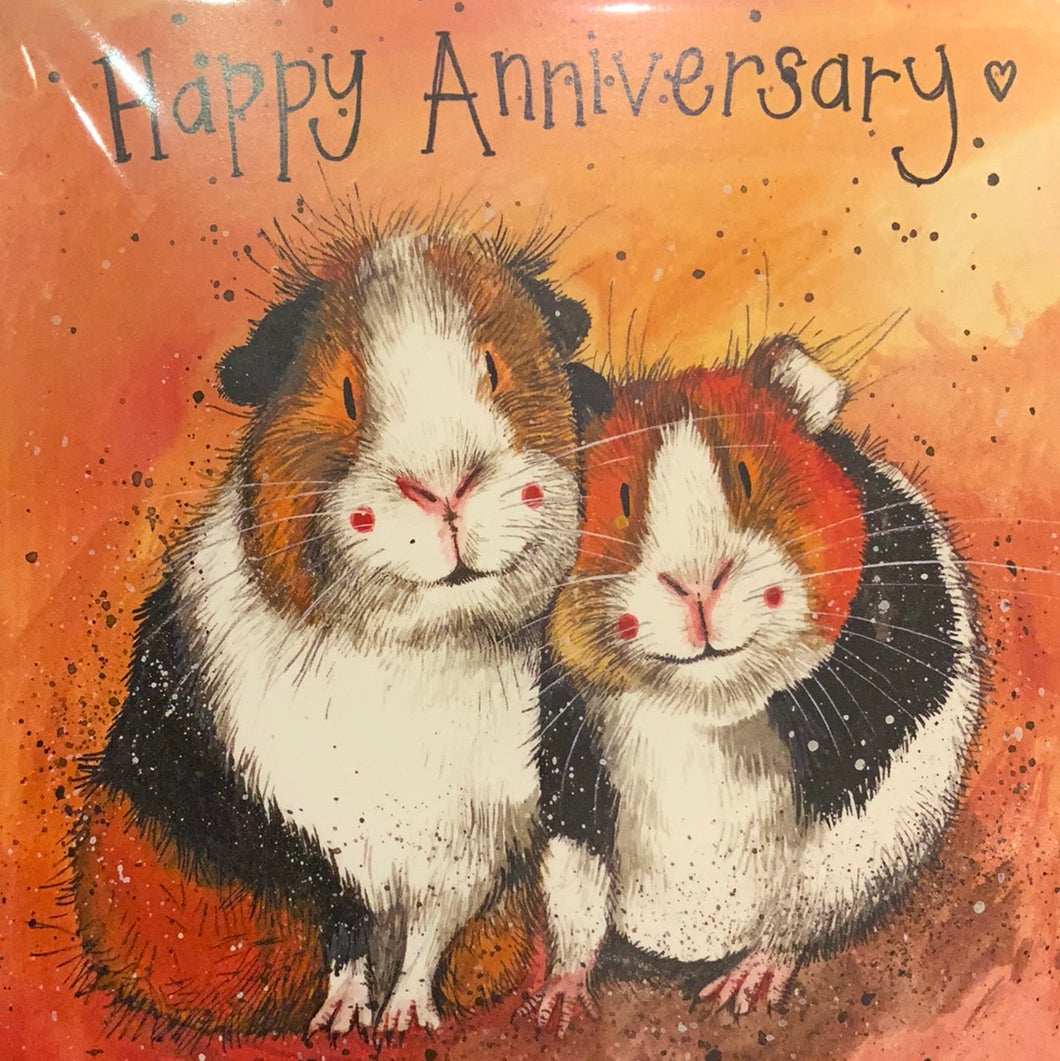 Guinea Pig Anniversary Card