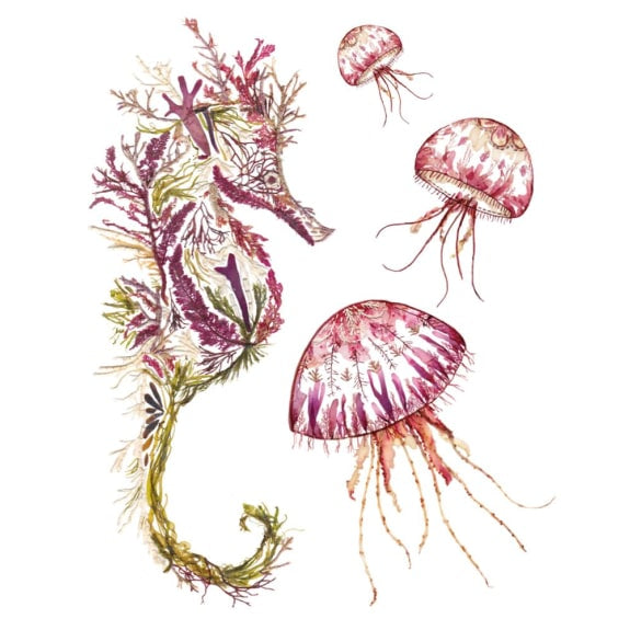 Seaweed Seahorse & Jellyfish Blank Card