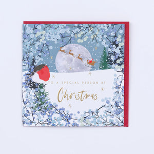 Special Person Christmas Card