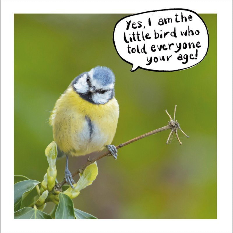 RSPB  Blue Tit  Humour Blank Card